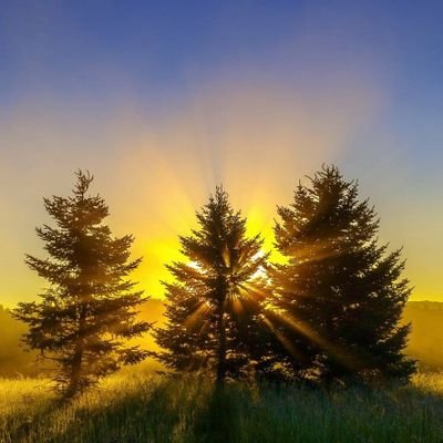 El máximo resplandor se halla en lo oculto a la vista🔍📆🗝️
Inicio del proyecto enseñanza kabbalah aplicada 12 de Cheshvan.
@NeWorldKabbalah en Twitter
