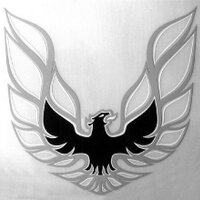 TJ Thornal (@tj_thornal) 's Twitter Profile Photo