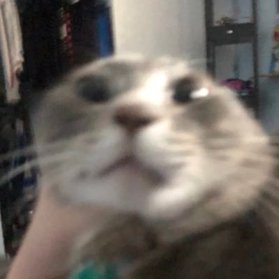 Brock49442683's profile picture. suck Mee dick bitch