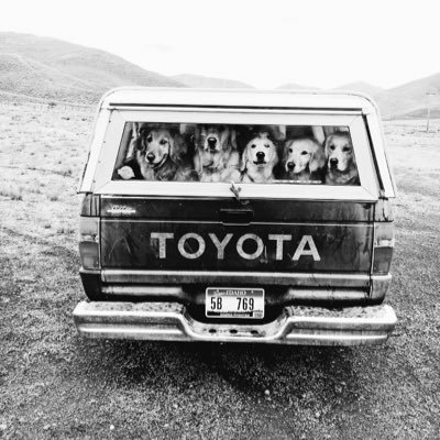 _VIOLET_34's profile picture. Gracias a la vida 🌹