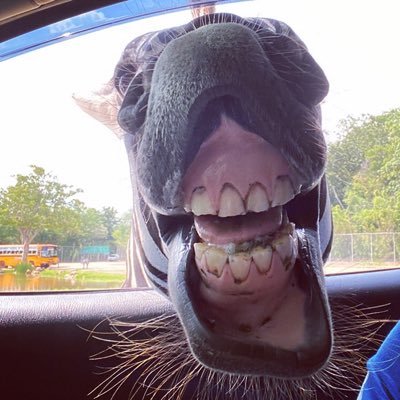 TwickYps's profile picture. Good things can come from unexpected places