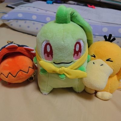 チコリータは可愛いんです Mobdog Twitter チコリータは可愛いんです Mobdog Twitter