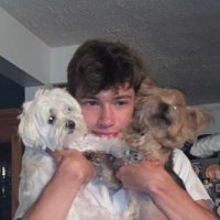 Alek Beddings (@a_w_beddi) 's Twitter Profile