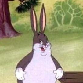 A big chungus in the sea of chungus