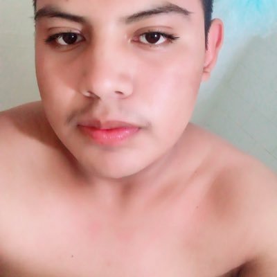 Gasparalcon3's profile picture. Gaspar