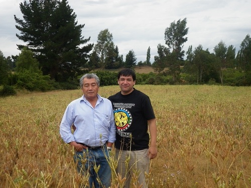 Mapuche, Ingeniero Comercial UA, Master en Políticas Públicas, FEN, Universidad de Chile.