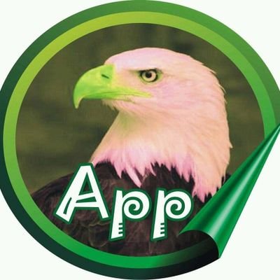 Oluwaloyal1's profile picture. 