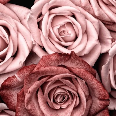 QunNguy02488925's profile picture. Single