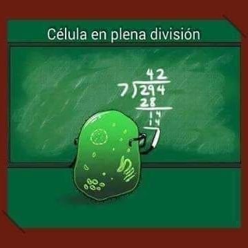 ifonseca90's profile picture. 