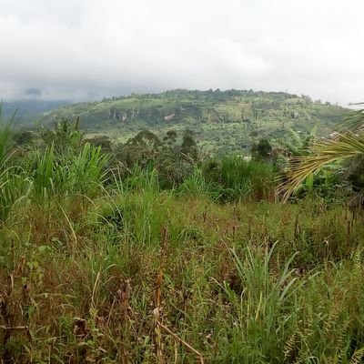 #PhD #GreenTalents. Research Fellow @ZEF @UniBonn. Nature-based Solutions, ecosystem services, conservation, community engagement & sustainable development