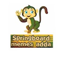 Springboard Memes Adda(@sbmemesadda) 's Twitter Profile Photo