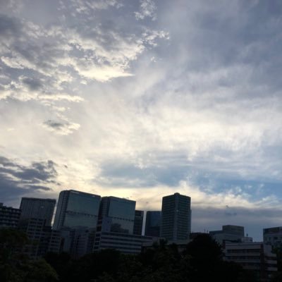 niina712's profile picture. 