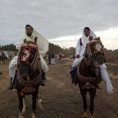 IDlkL0dc4BtyGkb's profile picture. ‏فارس في ملهاده