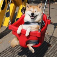 タイ (@tai_dq8rta) Twitter profile photo