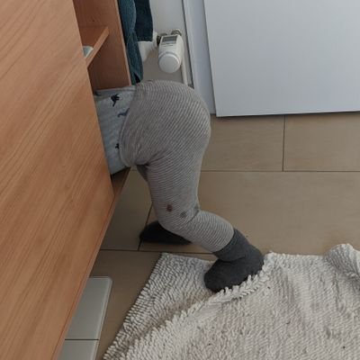 tischtrommler's profile picture. 