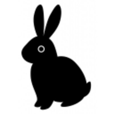 黒兎 反逆者 黒兎は英語でblack Rabbit じゃあフランス語では レッツシンキングタイム ぴょん 黒兎 反逆者 黒兎は英語でblack Rabbit じゃあフランス語では レッツシンキングタイム ぴょん