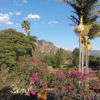Tepozland (@tepozland_) 's Twitter Profile