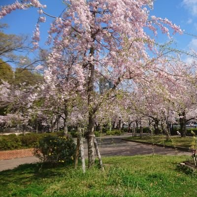 よろしくお願いします🙏フォローありがとうございます。日本が大好きです。

アホ弁護士どもは例外なく「反日左翼」であり「反日外国人」です。
アホ弁護士どもは「アホ弁護士でないこと」を証拠を示して証明してください。