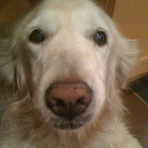 pulpfinky's profile picture. i'm hungry