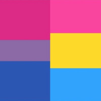 Account for bi & pansexual pride

Admins:
 Rob (Bi, him/he) 🇮🇪
 Pollito (pan, she/her) 🇦🇷
Catty (Bi, she/her) 🇺🇸