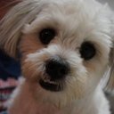 Peter Flannery - @PJF29L - Twitter