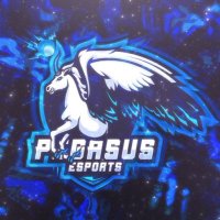 Pegasus Esports (@pegasusesports3) 's Twitter Profile