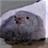R6_Sens's profile image