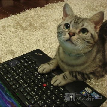 AtCoderアカウントとして始めましたが今後はいろいろな勉強アカウントとして運用しています!よろしくお願いします。
