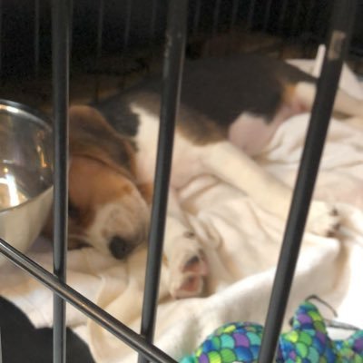 keep_camp's profile picture. 