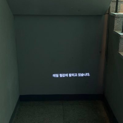 2n 성인여성 / 아 맞다 나 죽고싶은 거였지