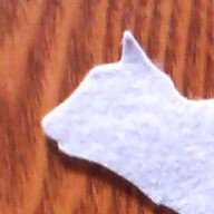 あかねこさんのプロフィール画像