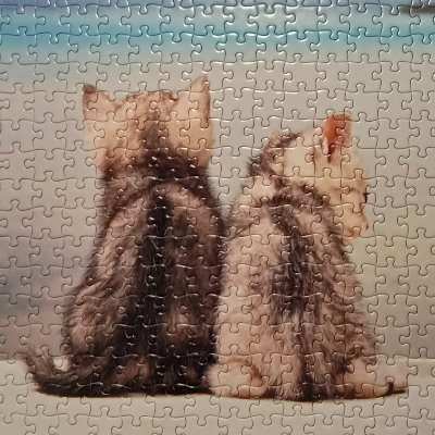 ふるはるさんのプロフィール画像