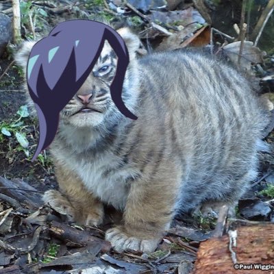 I look at memes and bother my friends 👁👁 (Fandoms: BNHA, promare, VLD, devilman crybaby and probably more) Icon credit @/ashameddquish