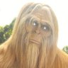 ResistSquatch's profile picture. Repubs scream about election security now but blocked election security bills over the last 4 years. Persisting against Republican bigotry.