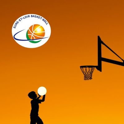 Comite28Memes's profile picture. Toute l'actualité du basket eurélien en memes. Suivez-moi pour rester au cœur de l'action et ne rien rater de la fine fleur du basket 28.
Chaque WE est un ASG !