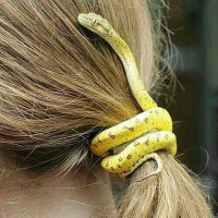 biawak jantan (@nyambekkk) 's Twitter Profile Photo biawak jantan (@nyambekkk) 's Twitter Profile Photo