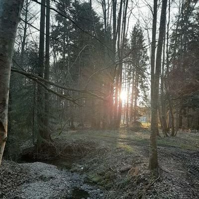 Innviertler Streiter für den Wald