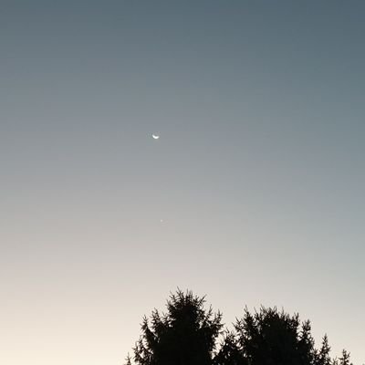 인간데스さんのプロフィール画像
