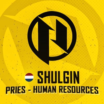 ShulginNL's profile picture. 