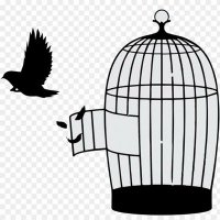 Awinz 𝕏❄️ (@awinde4) 's Twitter Profile