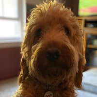 George Sinnott Jr (@georges1230) 's Twitter Profile