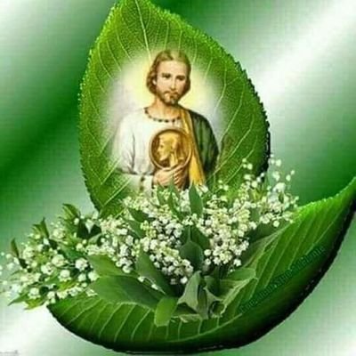 DÍOS, San Judas Tadeo, mi familia el béisbol