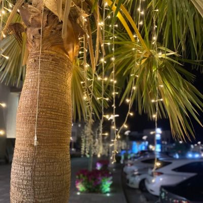 hadowrx5's profile picture. 