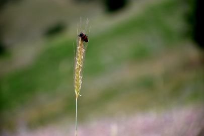 istgah12's profile picture. https://t.co/YspiMWqRaF