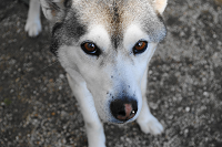 aozora21's profile picture. ライフワークはミシンでのキルト作り。