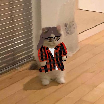 Neraさんのプロフィール画像