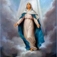 la Virgen del #Apruebo(@VirgenMar1a) 's Twitter Profileg
