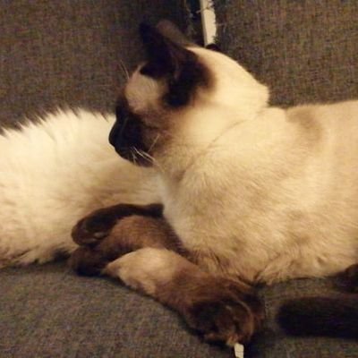 Guadalu47078163's profile picture. 