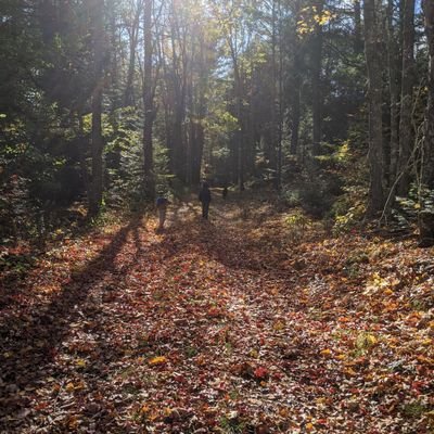 lancepelkey's profile picture. Gaming, politics, moth pictures, and stupidity. Often trying to be funny. Sometimes succeeding.
Husband of @aileenpelkey. Follow her for better posts.