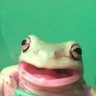 stiffygreen's profile picture. a miracle but not heaven sent, more like a freak accident